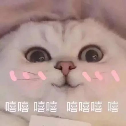 厦门网友:做副业一小时纯利润过万!疫情收入锐减,怎么靠副业赚钱?方式都在这了…_副业项目插图39 厦门网友:做副业一小时纯利润过万!疫情收入锐减,怎么靠副业赚钱?方式都在这了…_副业项目插图39